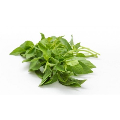 Fresh Hairy Basil 100g | 新鲜 罗勒100g
