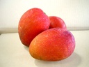 Fresh Vliegtuig Mango / kg | 新鲜 太阳芒果/ kg
