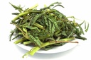 Water Mimosa 200g/PKT | 水含羞草200g / 把