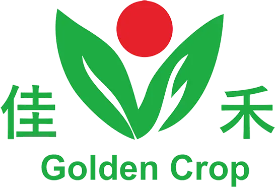 GC supermarket B2C