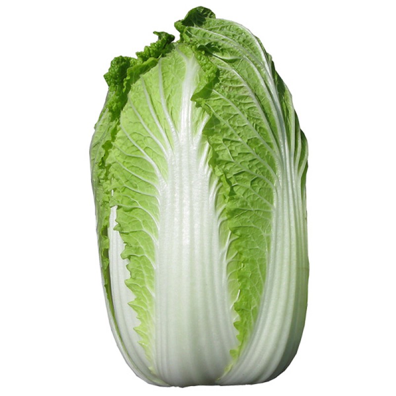 Tuore Kiinankaali 新鲜 中国大白菜 1kg