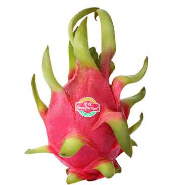 Punainen lohikäärmehedelmä 红心火龙果1 kg