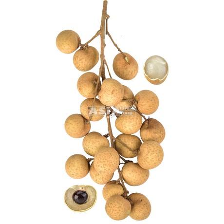Tuoreet longanit 新鲜龙眼 500g
