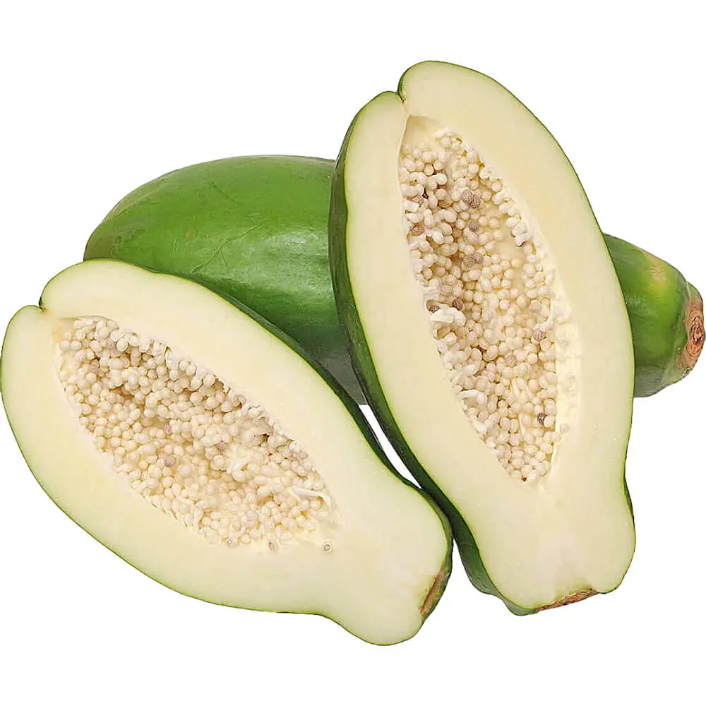 新鲜 青木瓜 1kg | Fresh Green Papaya 1kg