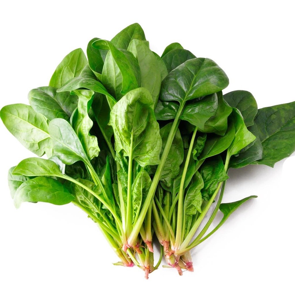 Poi Choi (Spinach) /kg | 新鲜 菠菜 (称重)