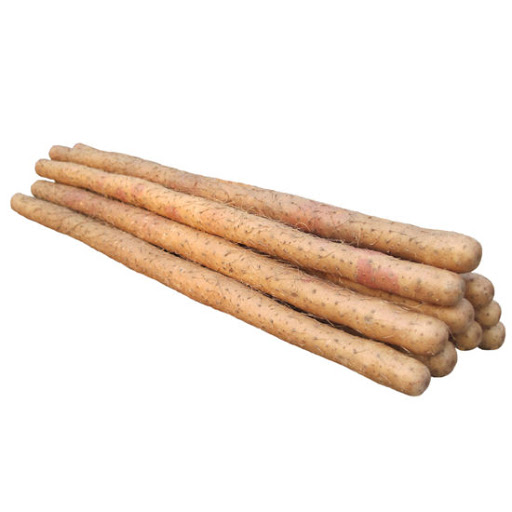 新鲜 铁棍山药 1kg | Fresh Iron Yum 1kg
