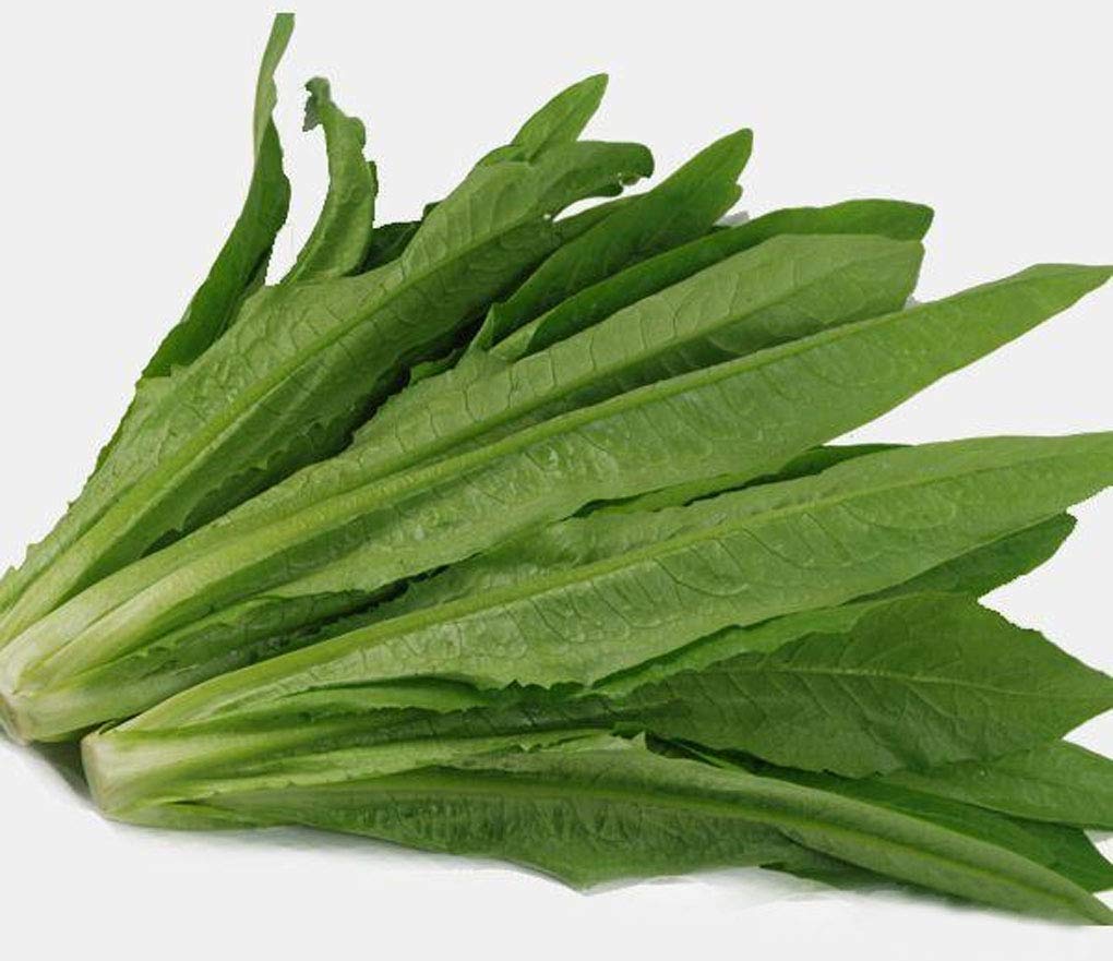 Tuore Makchoi 1kg | 新鲜 油麦菜 1kg