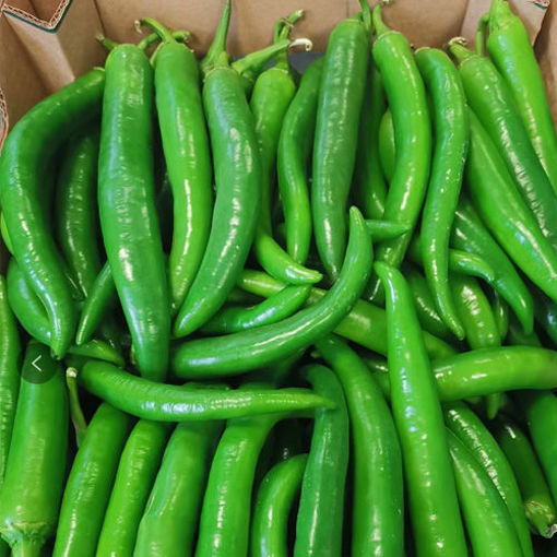 青尖椒 1kg (称重) | Fresh Shishito Green Chili 1kg