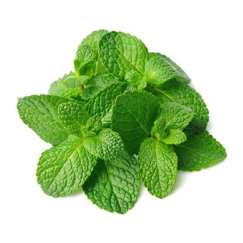 Tuore Minttu 1KPL | 新鲜 薄荷叶 1把
