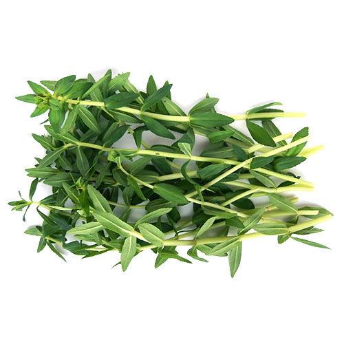 新鲜 手指草 100g/包 | Fresh Thailand Finger Grass 100g/PKT