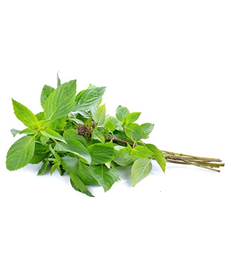新鲜 泰国 甜罗勒 100g/PKT | Fresh Thailand Sweet Basil 100g/PKT