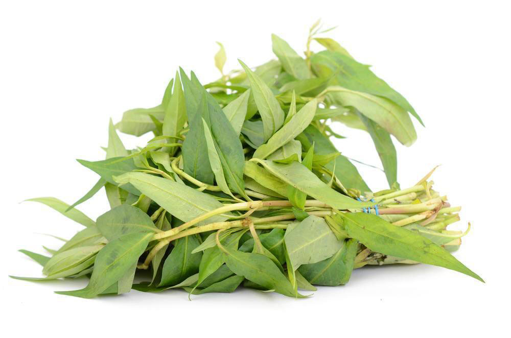 新鲜 泰国 香荚兰 100g/包 | Fresh Thailand Vietnamese Coriander 100g/PKT