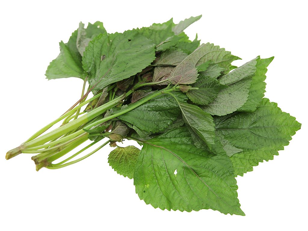 Tuore Thaimaasta Perilla 100g/PKT | 新鲜 泰国 紫苏 100g/包