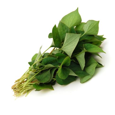 Fresh Thailand Fish Mint (Plu Kaow) 100g/PKT | 新鲜 泰国 鱼腥草 100g/包