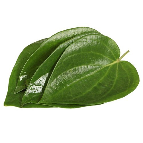 Fresh Thailand Betel Leaf 100g/PKT | 新鲜 泰国 槟榔叶 100g/包