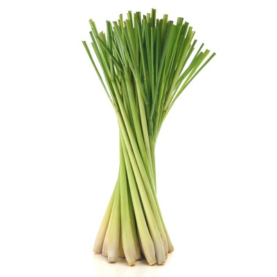 香茅草 (泰国) 100克 | Lemongrass (Thailand) 100g