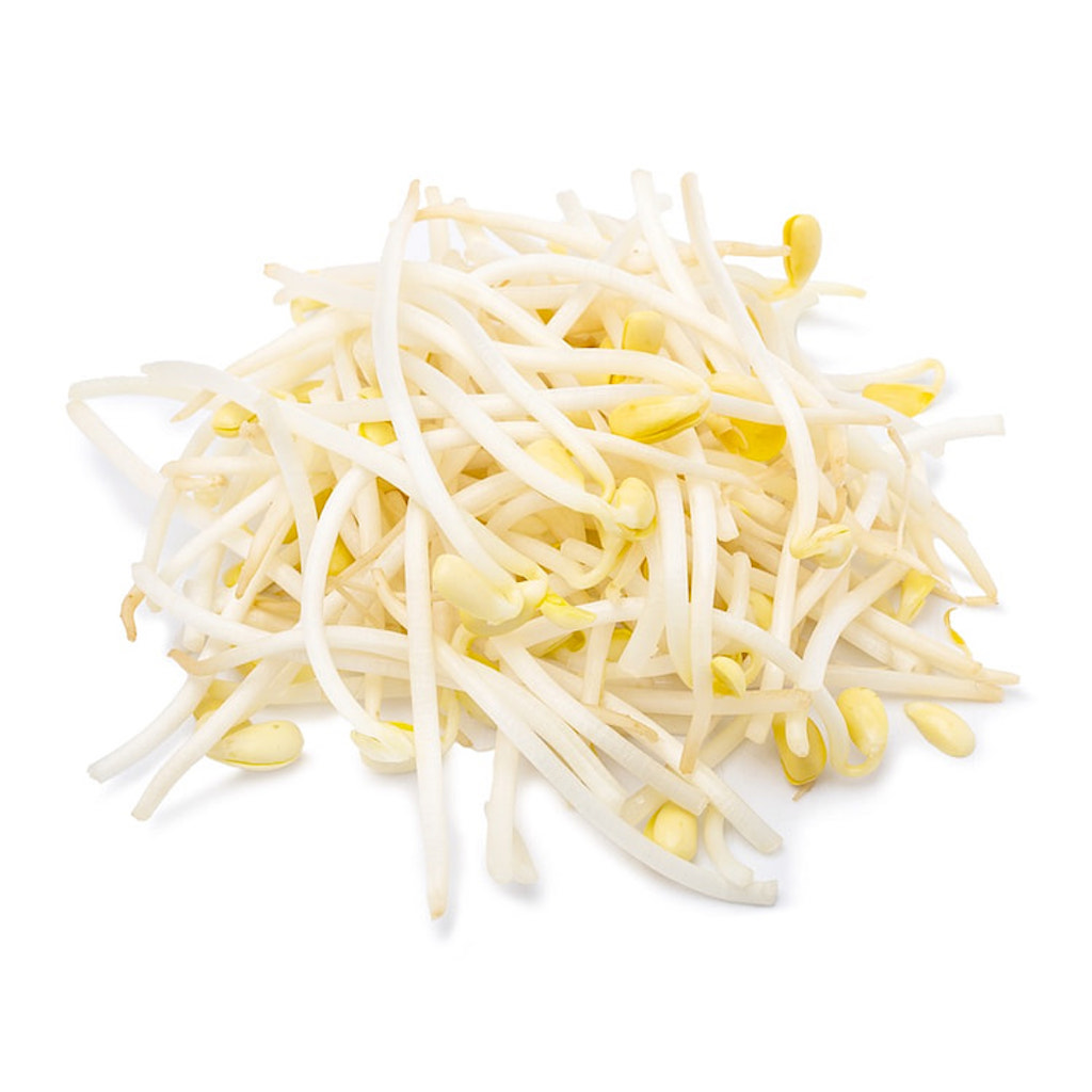 Fresh Soybean Sprouts 1kg | 新鲜 黄豆芽 1kg