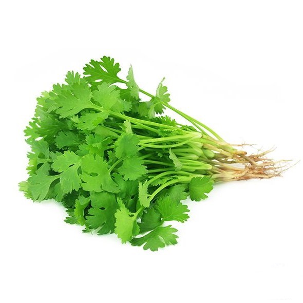 Tuore Korianteri  香菜 1kg