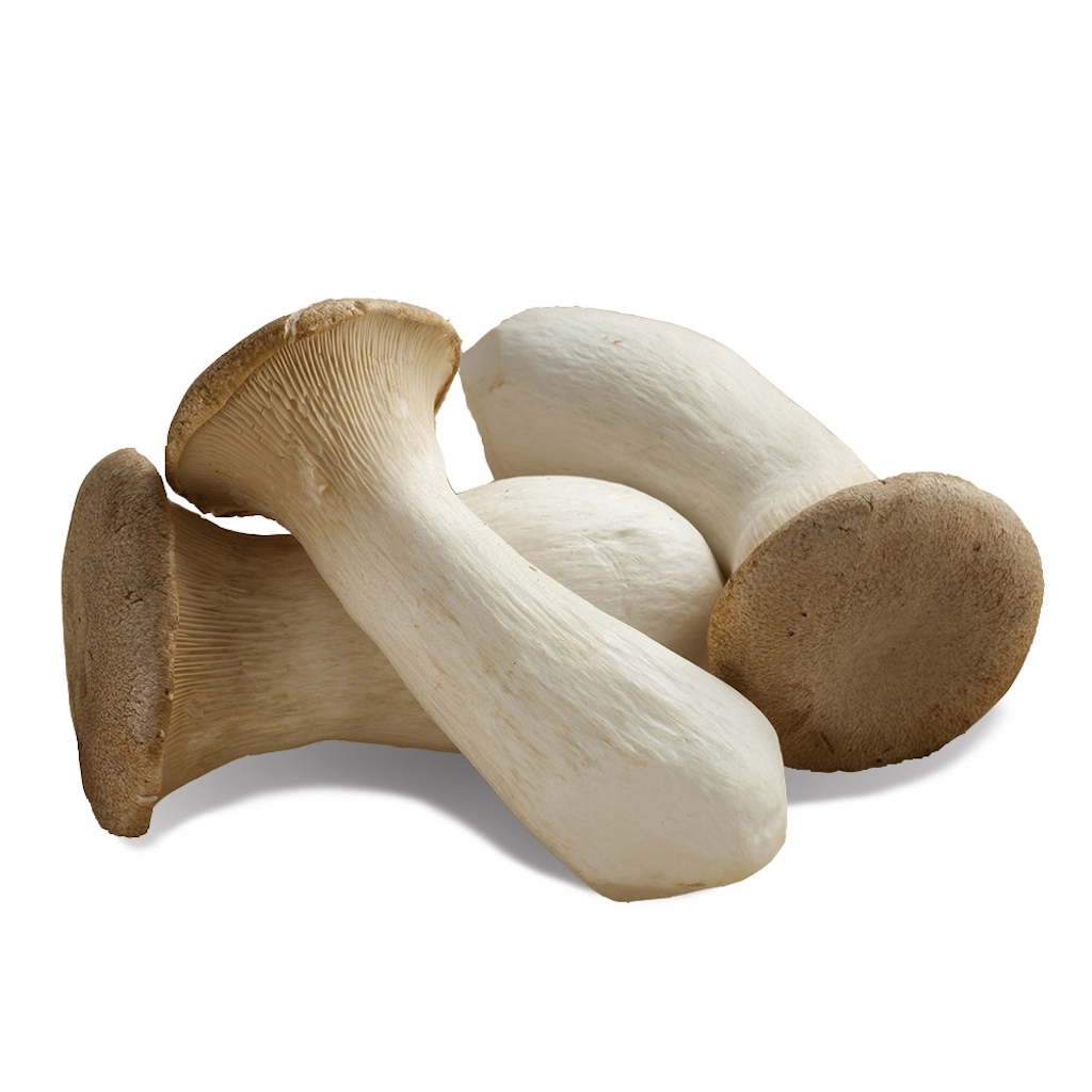 Fresh King Oyster Mushroom 200g/PKT | 新鲜 杏鲍菇 200g/盒