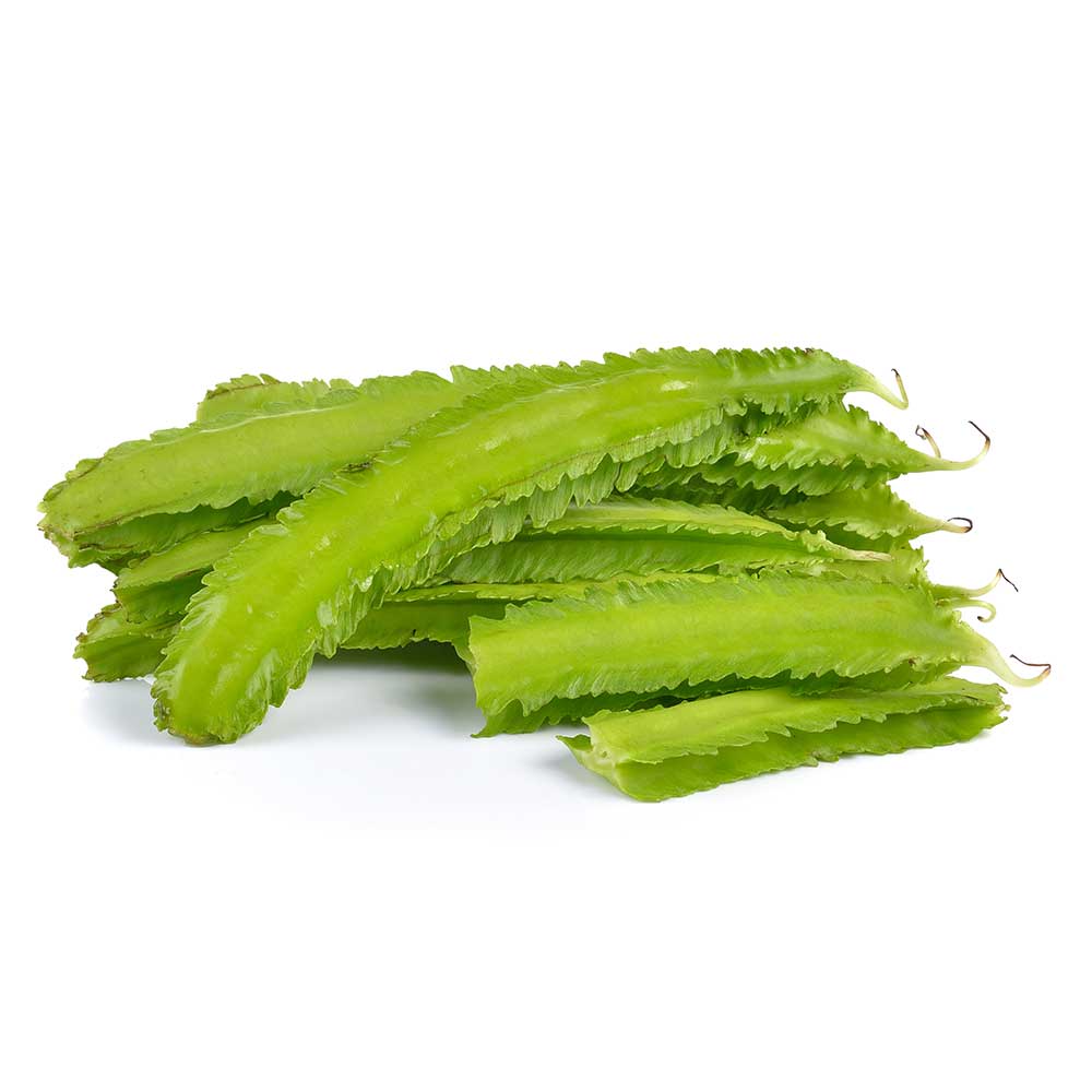 翅豆100g / pkt | Winged Bean 100g /pkt