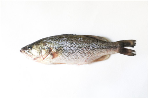 海鲈鱼 300-400g 净重800g/包 | Seabass 300-400g net. 800g/unit