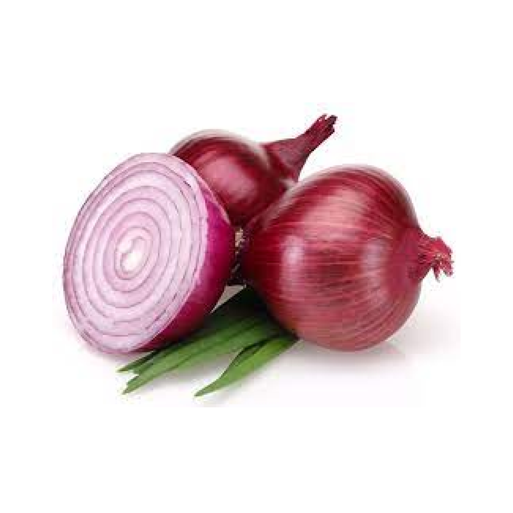 红洋葱 整箱 10kg | Red Onion 10kg/ctn