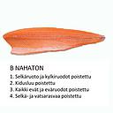 TUO Salmon C2 skinless without pinbone 1kg | TUO 新鲜 三文鱼(C2无皮无刺) 1kg