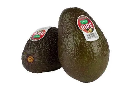 新鲜 Halls Ripe 牛油果 (HALLS Box) 22颗 4kg/箱 | Fresh Halls Ripe AVOCADO (HALLS Box) 22PCS 4kg/CTN