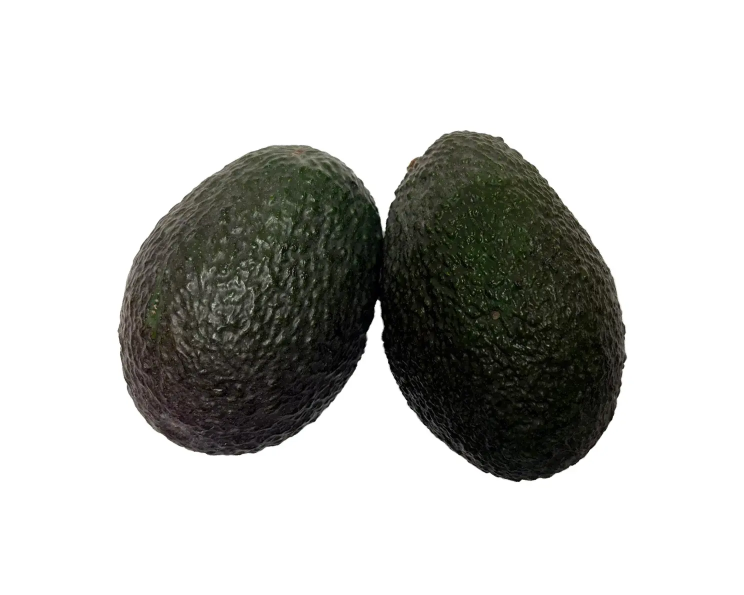 新鲜 Malki Hass 牛油果 22颗 4kg/箱 | Fresh Malki Hass Avocado 22PCS 4kg/CTN