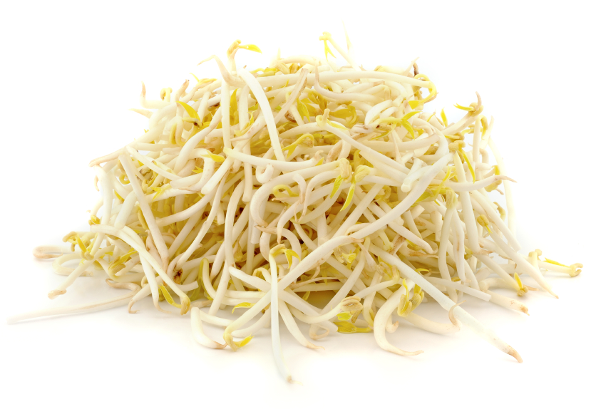 Fresh Ituja/Bean Sprouts 2.5kg/Bag | 新鲜 绿豆芽 2.5kg/包