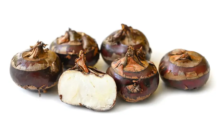 Fresh Water Chestnuts 500g | 新鲜马蹄 500g