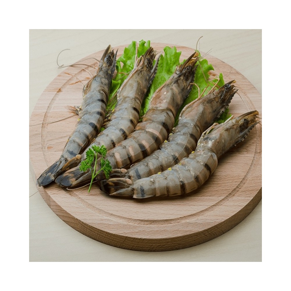 黑虎大虾 有头有壳 8/12 800g | Fisherman's Choice Black Tiger Shrimps HOSO 8/12 800g