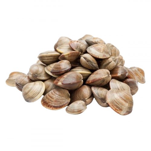 熟棕蛤 40/60 1kg | Cooked Brown Clam 40/60 1kg