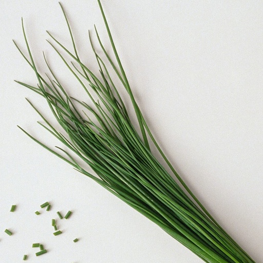 Bleslook (French chives)100g/PKT | 新鲜 寿司细葱 100g/ 包