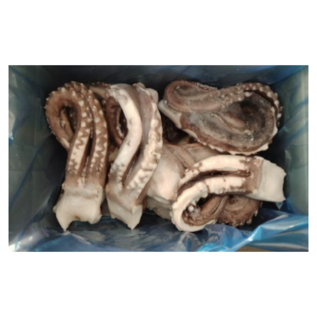 佳禾 冷冻大鱿鱼须 6.3kg/箱 | GC Frozen Large Squid Tentacles (DOSIDICUS GIGAS) 6.3kg
