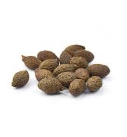 DSH Sterculia Lychnophora 180g | 大山合 胖大海 罐 180g