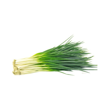 Spring onion 100g/pkt | 新鲜 香葱 100g/把