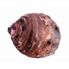 Malanga Coco 1kg | 新鲜 大香芋 1kg