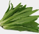 Fresh Makchoi 1kg | 新鲜 油麦菜 1kg