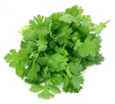Fresh Coriander 100g/Bag | 新鲜 香菜 100g/包