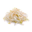 Fresh Ituja/Bean Sprouts 250g/PKT | 新鲜 绿豆芽 250g/包