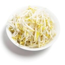 Fresh Ituja/Bean Sprouts 500g/PKT | 新鲜 绿豆芽 500g/包