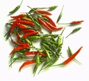 Fresh TH Bird Eye Chilli 100g | 新鲜 鸟眼辣椒 100g