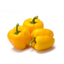 Fresh Yellow Pepper 5kg/CTN | 黄椒（灯笼椒） 整箱 5kg