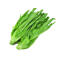 Fresh am choi 1kg | 新鲜 长芥菜 1kg