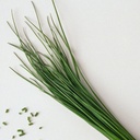 Bleslook (French chives)100g/PKT | 新鲜 寿司细葱 100g/ 包