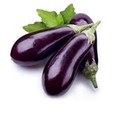 Discount Eggplant Purple 5kg/ctn | 打折 整箱 茄子 5kg/ctn